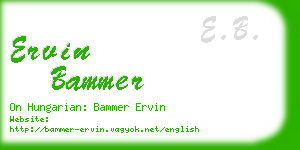 ervin bammer business card